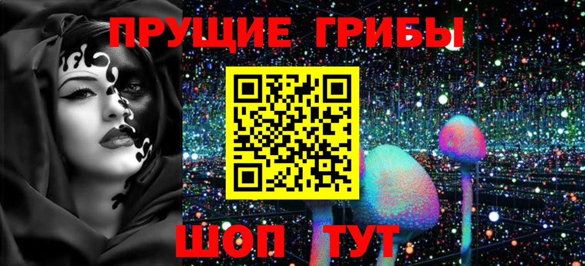 Менделеевск  Псилоцибиновые грибы MAGIC MUSHROOMS  Вход с VPN 