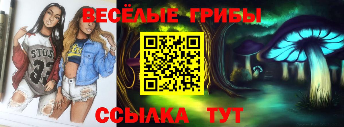 Псилоцибиновые грибы Psilocybe Менделеевск